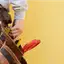 Handyman repair service in Oklahoma City, OK for home fixes and improvements